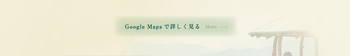 Googlemap