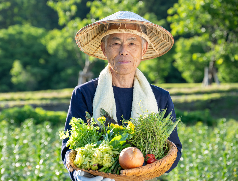 朝どれ野菜