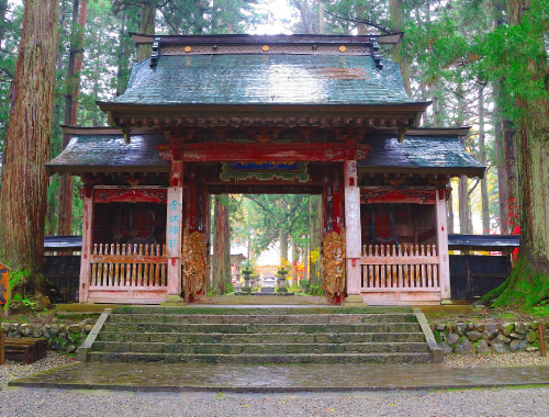 「雲洞庵の土踏んだか」雲洞庵