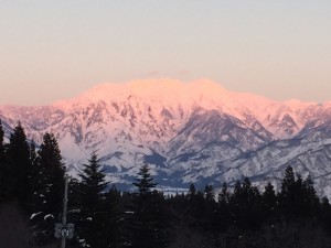 雲海に浮かびあがる八海山