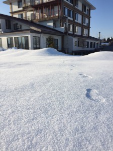 雪の上を歩けます