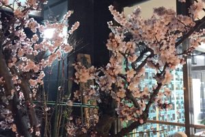 春の夜桜